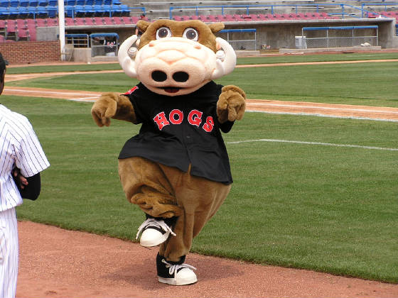 Wally the Warthog - Wonston-Salem's mascot